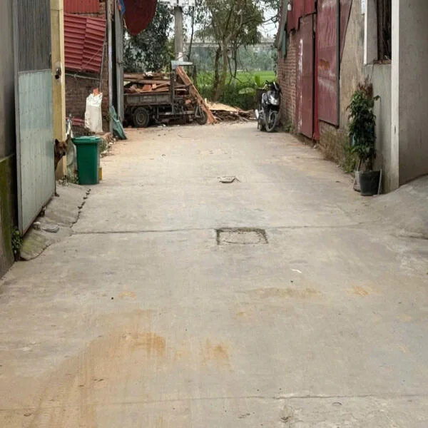 Bào Đồng- Thụy Lâm