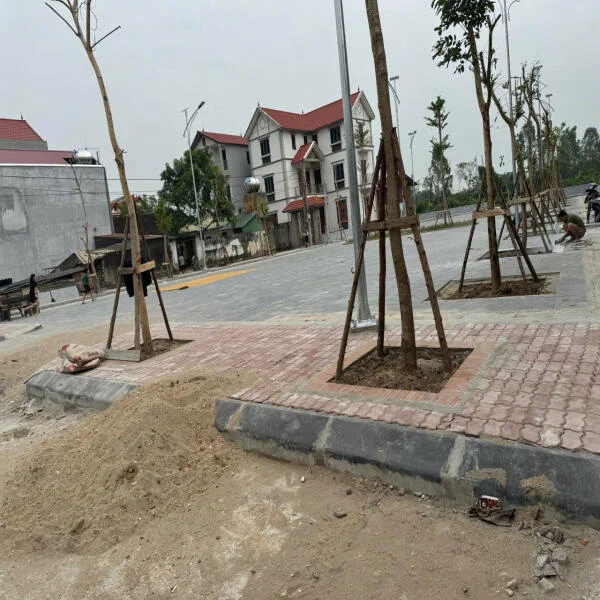 Lỗ Giao - Lỗ Giao --- Việt Hùng